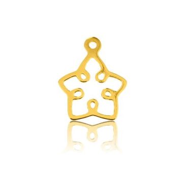 Ozdobna Blaszka Gwiazda, złoto próba 585 Ozdobna Blaszka Gwiazda, złoto próba 585